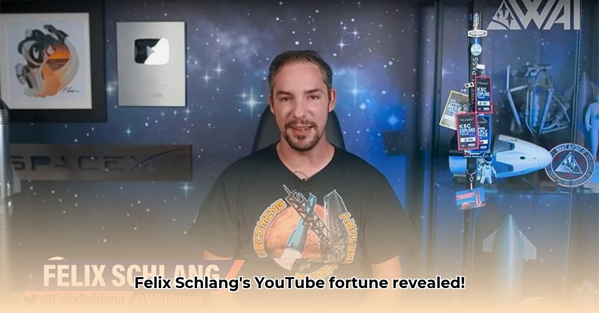felix-schlang-net-worth